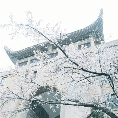“趣”北京图书大厦，庆多彩欢乐“六一”